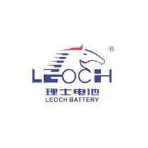 SG Mold partner - Leoch battery